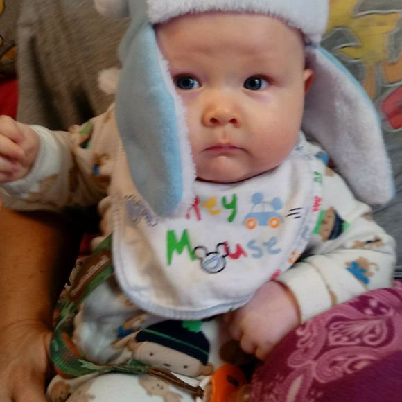 Meet your Posher, Nichalas - Picture 1 of 1